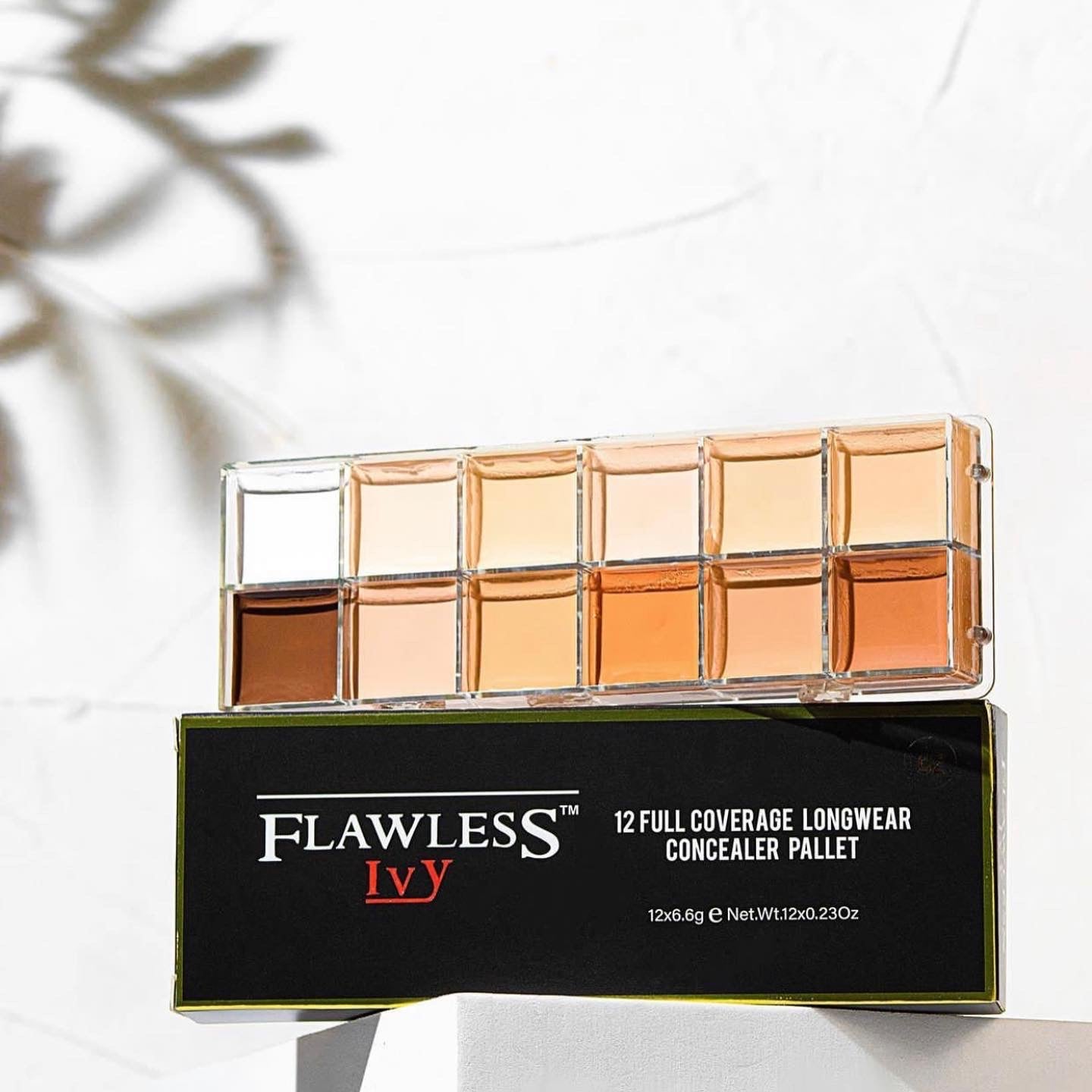 Flawless Ivy Concealer pallet
